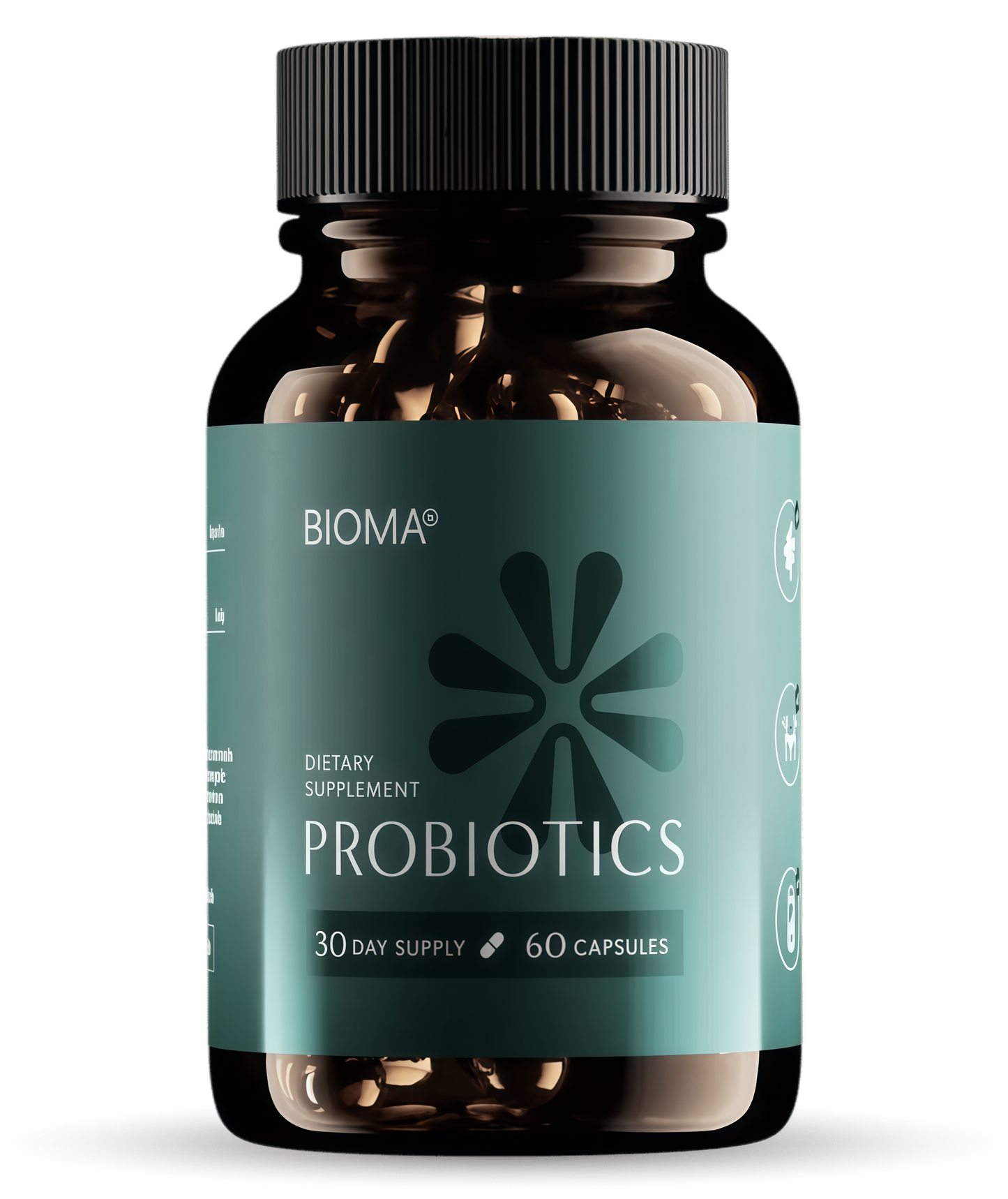 BIOMA Probiotics - Digestive Health Probiotic - Gut Support for Men & Women with Xylooligosaccharides, Tributyrin & Bifidobacterium - Vegan & Gluten Free - 60 Delayed-Release Capsules (30-Day Supply)